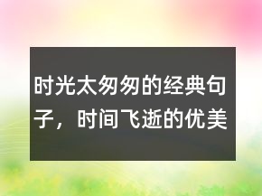 時(shí)光太匆匆的經(jīng)典句子，時(shí)間飛逝的優(yōu)美句子221條