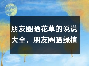 朋友圈曬花草的說說大全，朋友圈曬綠植的說說203條