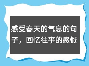 感受春天的氣息的句子，回憶往事的感慨句子224條