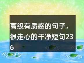 高級(jí)有質(zhì)感的句子，很走心的干凈短句236條