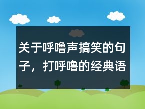 關(guān)于呼嚕聲搞笑的句子，打呼嚕的經(jīng)典語錄217條