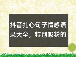 抖音扎心句子情感語錄大全，特別吸粉的短句238條