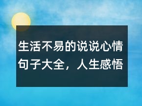生活不易的說(shuō)說(shuō)心情句子大全，人生感悟的句子226條