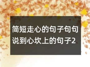 簡(jiǎn)短走心的句子句句說(shuō)到心坎上的句子221條