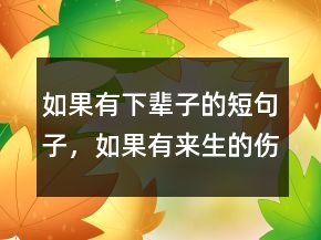 如果有下輩子的短句子，如果有來(lái)生的傷感句子215條