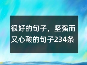 很好的句子，堅強而又心酸的句子234條