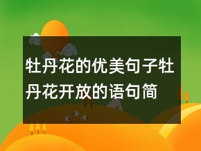 牡丹花的優(yōu)美句子牡丹花開放的語句簡短225條