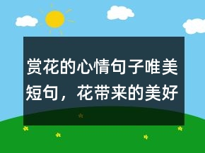 賞花的心情句子唯美短句，花帶來的美好心情說說236條