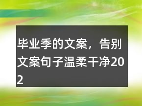 畢業(yè)季的文案，告別文案句子溫柔干凈202條