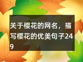 關(guān)于櫻花的網(wǎng)名，描寫櫻花的優(yōu)美句子249條