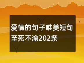 愛情的句子唯美短句,至死不渝202條