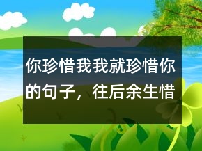 你珍惜我我就珍惜你的句子，往后余生,惜我者,我惜之246條