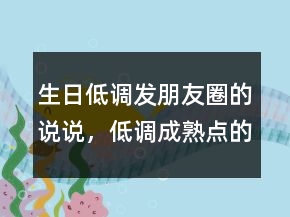 生日低調(diào)發(fā)朋友圈的說說，低調(diào)成熟點(diǎn)的生日句子227條