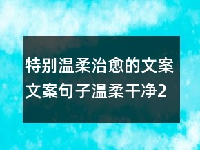 特別溫柔治愈的文案文案句子溫柔干凈223條