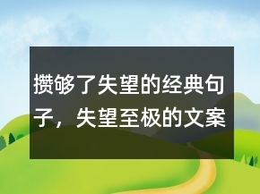 攢夠了失望的經(jīng)典句子，失望至極的文案簡短244條