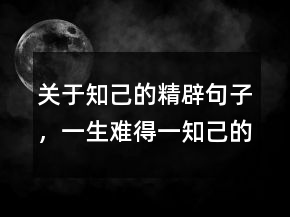關(guān)于知己的精辟句子，一生難得一知己的句子211條