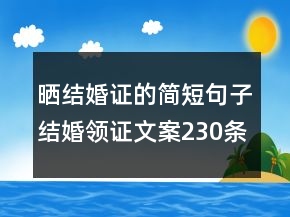 曬結(jié)婚證的簡(jiǎn)短句子結(jié)婚領(lǐng)證文案230條