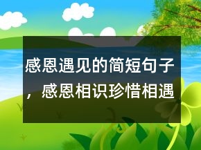 感恩遇見(jiàn)的簡(jiǎn)短句子，感恩相識(shí)珍惜相遇語(yǔ)句205條