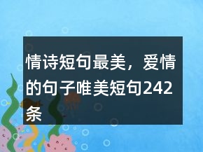 情詩短句最美，愛情的句子唯美短句242條