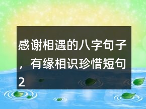 感謝相遇的八字句子，有緣相識珍惜短句211條