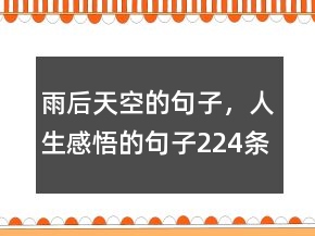 雨后天空的句子，人生感悟的句子224條