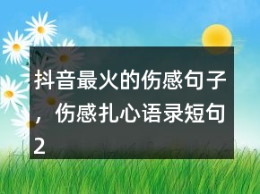抖音最火的傷感句子，傷感扎心語錄短句201條