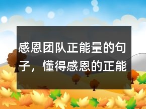 感恩團隊正能量的句子，懂得感恩的正能量句子208條