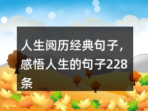 人生閱歷經(jīng)典句子，感悟人生的句子228條