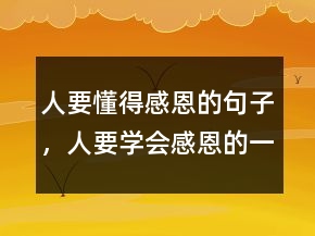 人要懂得感恩的句子，人要學(xué)會(huì)感恩的一段話244條