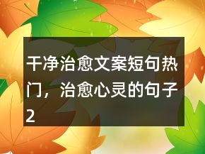 干凈治愈文案短句熱門，治愈心靈的句子205條