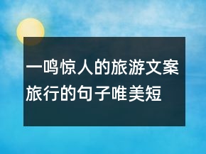 一鳴驚人的旅游文案旅行的句子唯美短句205條
