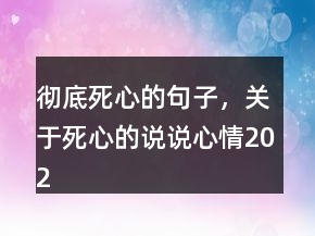 徹底死心的句子，關(guān)于死心的說(shuō)說(shuō)心情202條