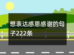 想表達(dá)感恩感謝的句子222條