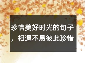 珍惜美好時(shí)光的句子，相遇不易,彼此珍惜句子213條