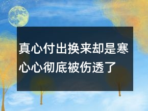 真心付出換來(lái)卻是寒心心徹底被傷透了的句子216條