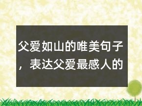 父愛如山的唯美句子，表達(dá)父愛最感人的句子227條
