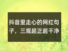 抖音里走心的網(wǎng)紅句子，三觀超正超干凈的文案201條