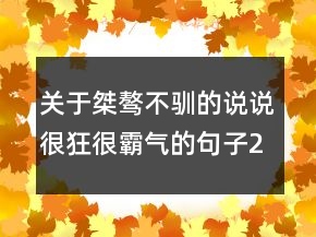 關于桀驁不馴的說說很狂很霸氣的句子211條