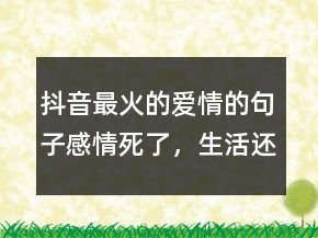 抖音最火的愛(ài)情的句子：感情死了，生活還在230條