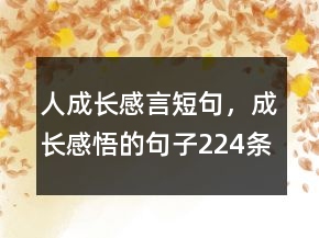 人成長感言短句，成長感悟的句子224條
