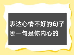 表達(dá)心情不好的句子哪一句是你內(nèi)心的寫(xiě)照245條