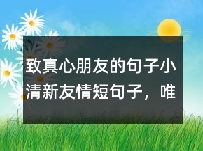 致真心朋友的句子小清新友情短句子，唯美簡短的句子208條