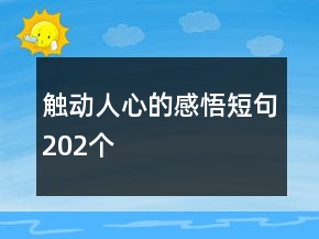 觸動人心的感悟短句202個