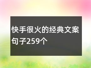 快手很火的經(jīng)典文案句子259個