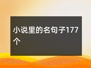 小說里的名句子177個(gè)