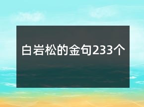 白巖松的金句233個