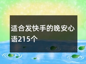 適合發(fā)快手的晚安心語215個(gè)