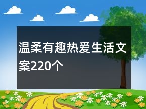 溫柔有趣熱愛生活文案220個