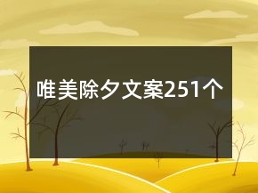 唯美除夕文案251個