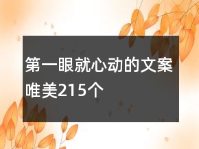 第一眼就心動的文案唯美215個